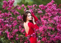 Kobieta w czerwonej sukience pośród kwiatów kwitnącego krzewu