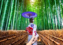 Kobieta, Azjatka, Kimono, Parasolka, Schody, Las bambusowy, Arashiyama Bamboo Forest, Kioto, Japonia