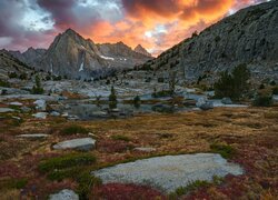 Góry, Sierra Nevada, Skały, Drzewa, Zachód słońca, Chmury, Kalifornia, Stany Zjednoczone