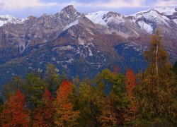 Góry, Alpy, Kolorowe, Drzewa, Francja