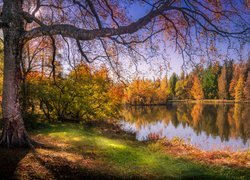 Kolorowe drzewa nad jeziorem jesienią