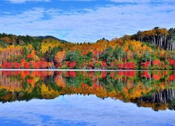Jesień, Jezioro Shirakoma, Kolorowe, Drzewa, Odbicie, Nagano, Japonia