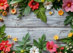 Kolorowe kwiatki z liśćmi na drewnianych deskach