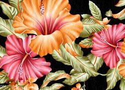 Kolorowe kwiaty hibiskusa na czarnym tle w 2D