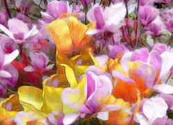 Kolorowe, Kwiaty, Fractalius