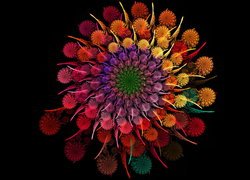 Kwiat, Kolorowy, Grafika 2D