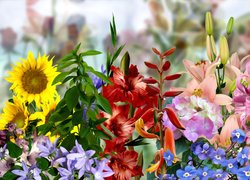 Kolorowe różnorodne kwiaty w grafice