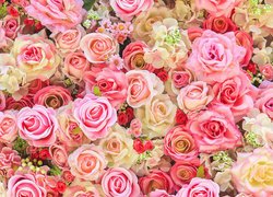 Kwiaty, Różnokolorowe, Rozwinięte, Róże