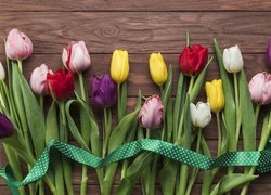 Kolorowe tulipany z wstążką