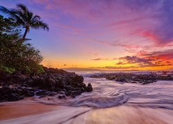 Hawaje, Wyspa Maui, Morze, Zachód słońca, Palmy