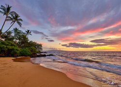 Zachód słońca, Plaża, Morze, Palmy, Chmury, Maui, Hawaje, Stany Zjednoczone