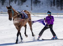 Koń, Zawodnik, Wyścigi konne, White Turf, Sankt Moritz, Szwajcaria