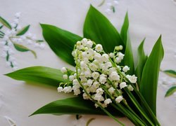 Kwiaty, Konwalie, Liście, Haftowana, Serweta