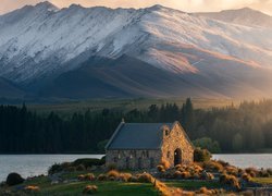 Góry, Jezioro, Lake Tekapo, Kościół Dobrego Pasterza, Kępy, Trawy, Nowa Zelandia