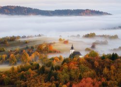 Słowacja, Góry Kremnickie, Mgła, Las, Drzewa, Jesień, Kościół