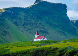 Góry, Trawa, Kwiaty, Kościół, Vik i Myrdal, Islandia