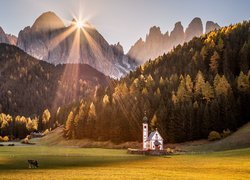 Włochy, Południowy Tyrol, Góry, Dolomity, Kościół św Jana, Wieś, Santa Maddalena, Dolina Val di Funes, Drzewa, Trawa, Promienie słońca