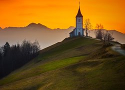 Kościół św Primusa i Felicjana, Wzgórze, Góry, Drzewa, Mgła, Wschód słońca, Wieś Jamnik, Słowenia