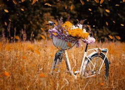 Rower, Koszyk, Kwiaty, Łąka, Liście, Jesień