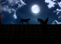 Koty spacerują po dachu podczas pełni księżyca