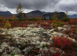 Krajobraz jesienią na Kołymie