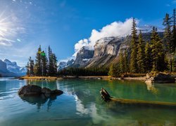Kanada, Prowincja Alberta, Park Narodowy Jasper, Góry, Jezioro Maligne, Drzewa