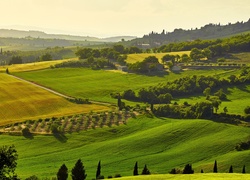 Krajobraz Toskanii ze wzgórzami porośniętymi drzewami i roślinnością