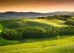 Krajobraz wzgórz i pól we włoskiej Toskanii
