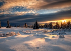 Krajobraz zimowy ze śniegiem w lesie i chmurami przykrywającymi zachodzące słońce