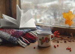 Książka na kocu i garnuszek herbaty obok okna