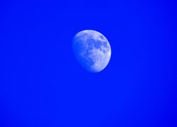 Księżyc na niebieskim niebie