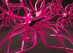 Różowa, Grafika 3D