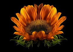 Kwiat słonecznika w grafice