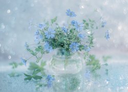 Niebieskie, Kwiaty, Bodziszek