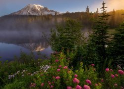 Park Narodowy Mount Rainier, Jezioro Reflection Lake, Góra, Szczyt Mount Rainier, Mgła, Drzewa, Kwiaty, Stan Waszyngton, Stany Zjednoczone