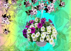 Kwiaty, Petunia ogrodowa, Gałązki, Doniczka, Grafika