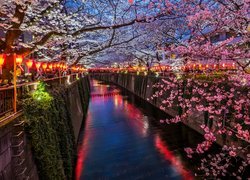 Japonia, Tokio, Kanał, Kwitnące, Drzewa owocowe, Latarnie