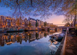 Łabędzie i łódki na kanale w Amsterdamie
