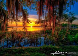 Lake Dora na Florydzie o zachodzie słońca