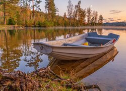Las i łódka na brzegu jeziora