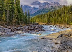 Rzeka, Mistaya River, Skały, Kamienie, Las, Drzewa, Góry, Canadian Rockies, Park Narodowy Banff, Alberta, Kanada