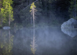 Las iglasty i mgła nad jeziorem String