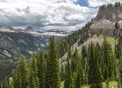 Góry, Las, Caribou-Targhee National Forest, Świerki, Dolina, Chmury, Stany Zjednoczone