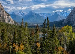 Kanada, Alberta, Park Narodowy Banff, Góry, Fairholme Range, Lasy, Drzewa, Jesień