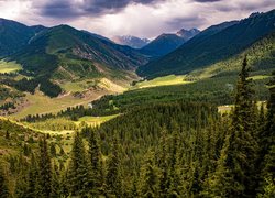 Góry, Dolina, Kok Jayik Valley, Lasy, Drzewa, Chmury, Kirgistan