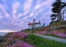 Morze, Latarnia morska, Battery Point Lighthouse, Droga, Drzewo, Kwiaty, Skały, Crescent City, Kalifornia, Stany Zjednoczone