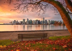 Kanada, Vancouver, Rzeka Fraser, Wieżowce, Ławka, Drzewo