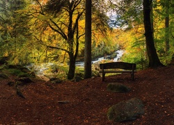 Ławeczka w jesiennym lesie przy rzece w szkockim Dunkeld