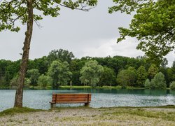 Jezioro, Ławka, Drzewa