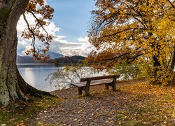 Jesień, Drzewa, Ławka, Jezioro Staffelsee, Bawaria, Niemcy
